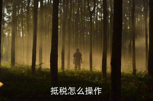 辦理抵稅流程是什么，電子稅務(wù)局退抵稅流程