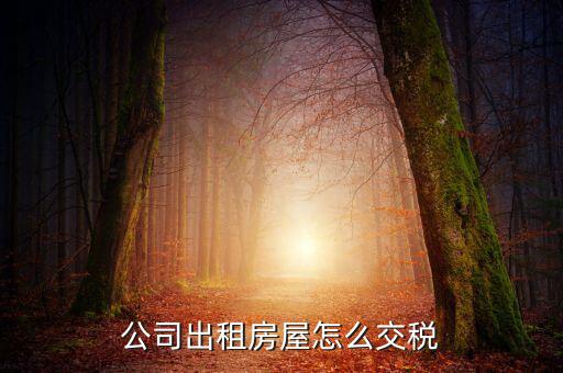 企業(yè)承租房屋交什么稅，公司租賃房屋需要交哪些稅