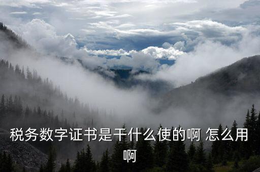 安徽國稅局?jǐn)?shù)字證書是什么意思，稅務(wù)數(shù)字證書是干什么使的啊 怎么用啊