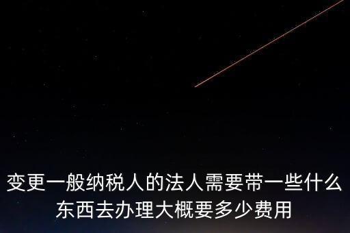 稅務法人變更帶什么東西，營業(yè)執(zhí)照法人已變更 稅務變更需帶什么資料