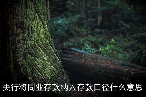 業(yè)務(wù)口徑是什么意思，銀行說(shuō)的十四行口徑是什么意思