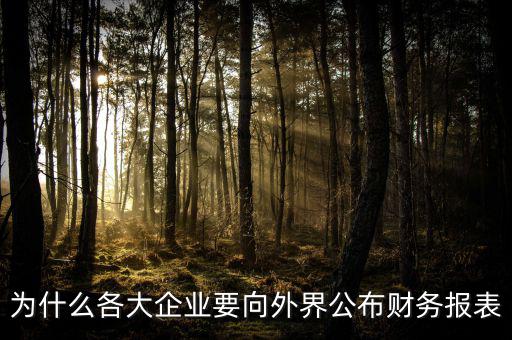 為什么要報送財務(wù)報表，為什么要編財務(wù)報表