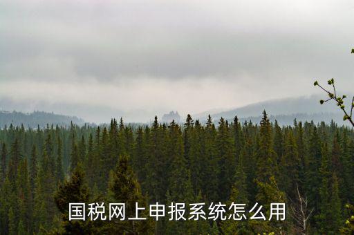 國(guó)稅網(wǎng)絡(luò)預(yù)申請(qǐng)系統(tǒng)是什么，怎么安裝國(guó)稅網(wǎng)上申報(bào)系統(tǒng)
