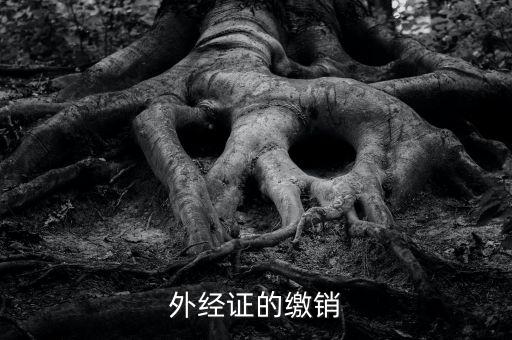 廈門繳銷外經(jīng)證國(guó)稅什么資料，廈門國(guó)稅需銷項(xiàng)合同是什么