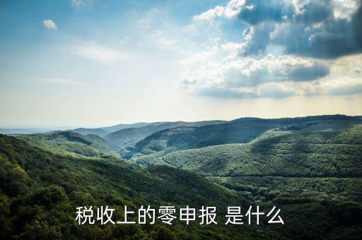 什么叫免于零申報(bào)，小規(guī)模納稅人 要增值稅納稅申報(bào) 但是每次都為零申報(bào)