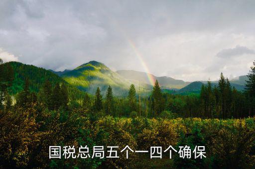 稅務(wù)局五個(gè)一是什么意思，國稅總局五個(gè)一四個(gè)確保