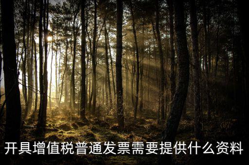 開增值稅提供什么資料，開具增值稅普通發(fā)票需要提供什么資料