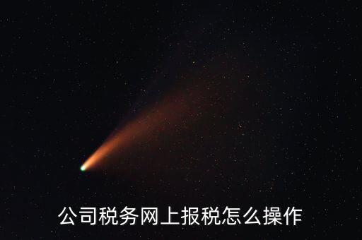 企業(yè)報(bào)稅登什么網(wǎng)站，企業(yè)稅務(wù)申報(bào)去哪個(gè)網(wǎng)站