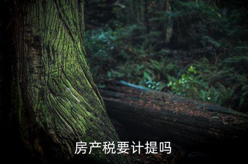 房產(chǎn)稅列入什么費用，房產(chǎn)稅要計提嗎