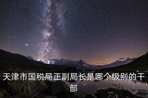 國稅局副局長是什么級別，天津市國稅局正副局長是哪個(gè)級別的干部