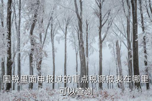 重點(diǎn)稅源預(yù)測(cè)網(wǎng)址是什么，國(guó)稅里面申報(bào)過的重點(diǎn)稅源報(bào)表在哪里可以查詢