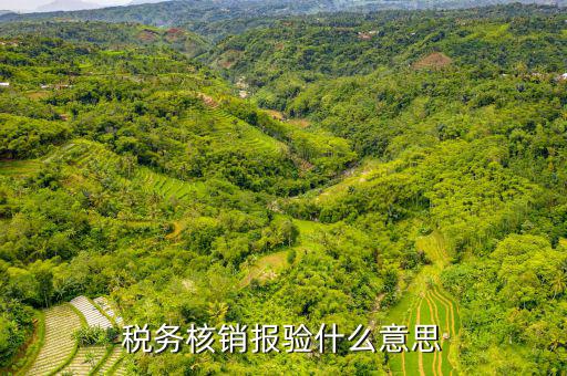 地稅核銷報(bào)驗(yàn)是什么意思，地稅發(fā)票報(bào)驗(yàn)是什么回事啊 怎么報(bào)驗(yàn)什么時(shí)候報(bào)驗(yàn)啊