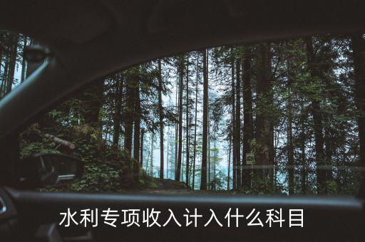 水利專項(xiàng)收入計入什么科目