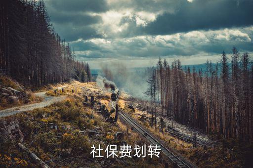 社保費(fèi)征管職責(zé)劃轉(zhuǎn)移交些什么，2020年新疆社會(huì)保險(xiǎn)費(fèi)征管職責(zé)劃轉(zhuǎn)包包括哪些內(nèi)容