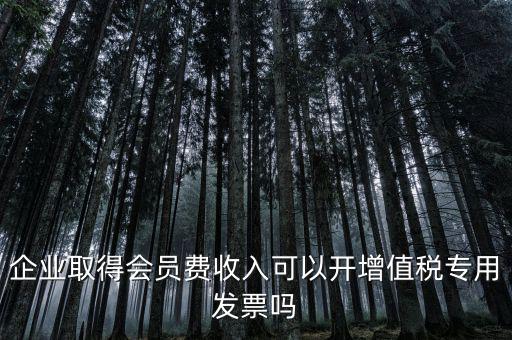 會費收入開什么票，協(xié)會能開哪些發(fā)票