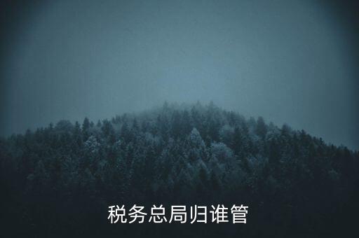 什么部門(mén)監(jiān)管?chē)?guó)稅務(wù)局，稅務(wù)局最怕什么部門(mén)