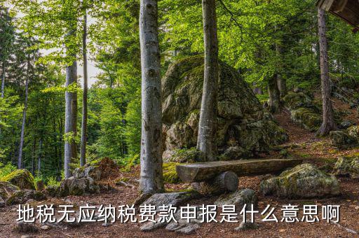 地稅無(wú)稅申報(bào)包括什么，地稅申報(bào)表無(wú)稅申報(bào)是什么意思我這個(gè)月要0申報(bào)是點(diǎn)擊