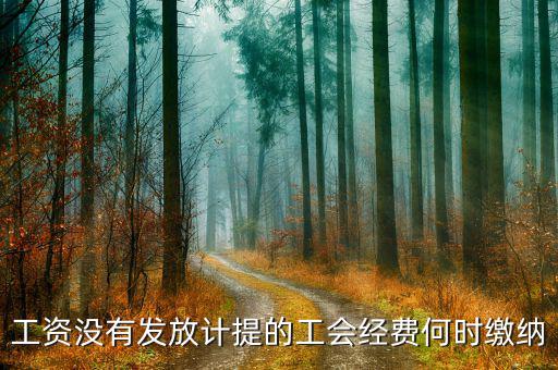 工會(huì)經(jīng)費(fèi)什么時(shí)候開始繳納，印花稅工會(huì)經(jīng)費(fèi)一般什么時(shí)候繳納