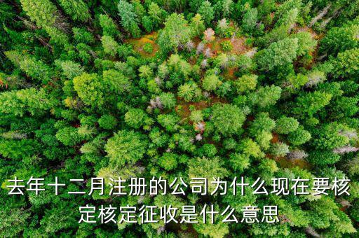 為什么核定征收收據(jù)，查賬征收為什么會轉(zhuǎn)為核定征收