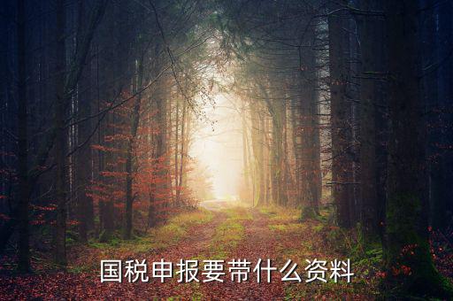 國(guó)稅注冊(cè)需要什么資料，國(guó)稅登記需要帶什么資料