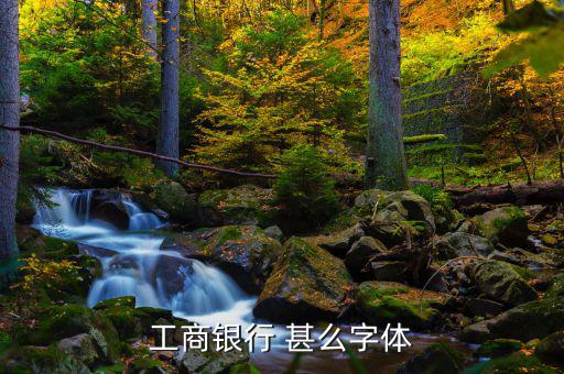 工商銀行用的是什么字體，中國工商銀行的標(biāo)志里面的字母是什么字體