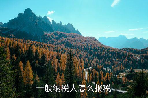 四川一般納稅人用什么申報(bào)國稅，一般納稅人報(bào)稅的詳細(xì)流程