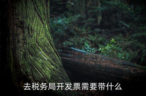 紹興市國稅購增值稅發(fā)票需要帶什么，到稅務(wù)局開增值稅專用發(fā)票帶什么