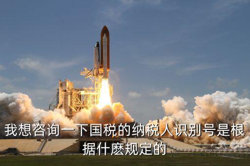 我想咨詢一下國稅的納稅人識(shí)別號(hào)是根據(jù)什麼規(guī)定的