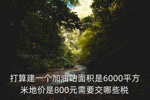 加油站都繳什么稅，打算建一個(gè)加油站面積是6000平方米地價(jià)是800元需要交哪些稅