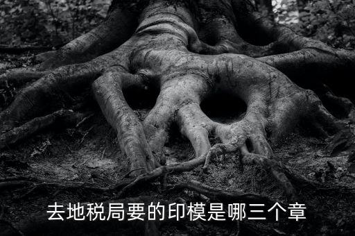 稅務(wù)局原始印模是什么東西，去地稅局要的印模是哪三個章