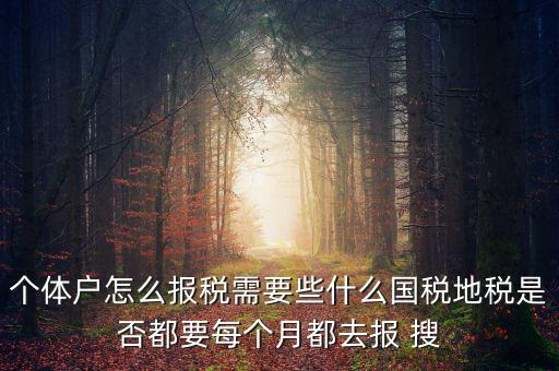個(gè)體戶報(bào)稅都報(bào)什么，個(gè)體戶怎么報(bào)稅需要些什么國(guó)稅地稅是否都要每個(gè)月都去報(bào) 搜