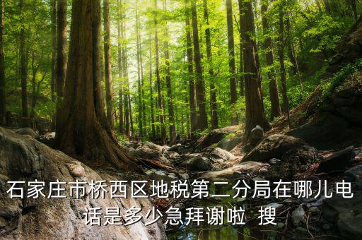 地稅二分局是做什么的，地稅科查局是做什么的