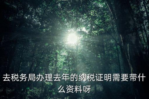 納稅證明要帶什么資料，要去地稅開個納稅證明要準(zhǔn)備什么材料