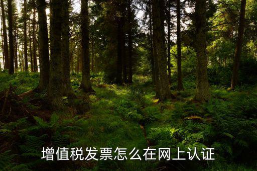 發(fā)票認(rèn)證需要什么軟件下載，國(guó)稅發(fā)票認(rèn)證需要準(zhǔn)備那些資料 到大廳辦的時(shí)候工作人員叫我拿U盤
