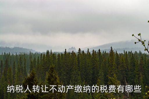 轉(zhuǎn)讓不動產(chǎn)交什么稅，納稅人轉(zhuǎn)讓不動產(chǎn)繳納的稅費有哪些