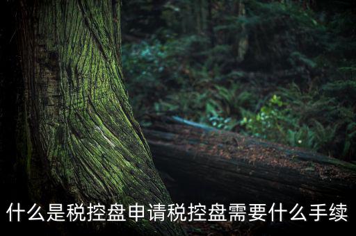 稅控盤制證是什么，去稅務(wù)局辦理稅控盤需要什么資料流程怎么走呢
