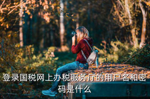 陜西電子稅務(wù)局登錄賬號(hào)是什么，登錄國(guó)稅網(wǎng)上辦稅服務(wù)廳的用戶(hù)名和密碼是什么