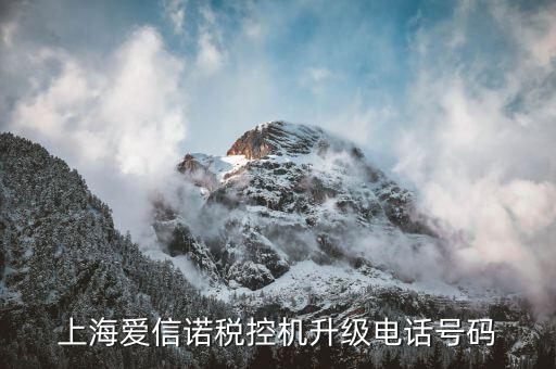 升級稅控拿什么號，防偽稅控升級到哪一個網(wǎng)站升級