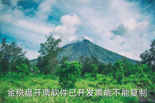 什么發(fā)票能進行復(fù)制發(fā)票操作，如何將Excel中制作的發(fā)票專業(yè)發(fā)票復(fù)制到Word文檔中并且格式