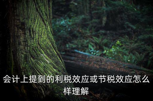 節(jié)稅效應(yīng)是節(jié)的什么稅，什么是節(jié)稅額