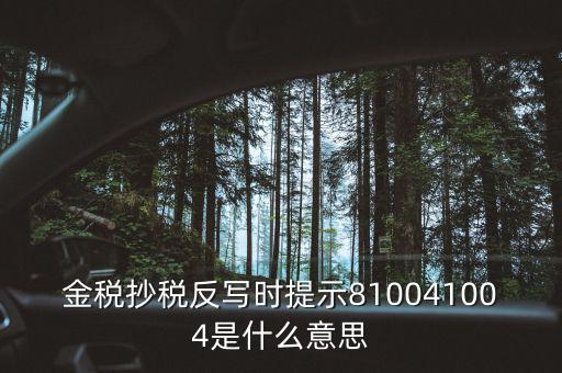 抄稅反寫是什么意思，金稅抄稅反寫時提示810041004是什么意思