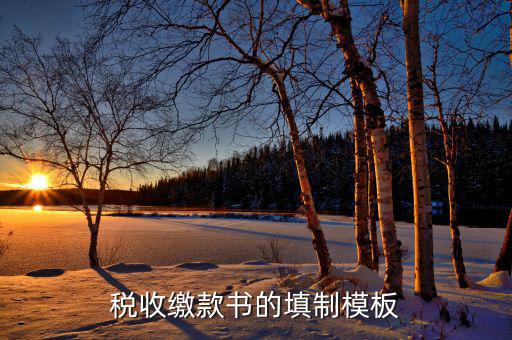 稅收繳款書字軌是什么，什么是文書字軌