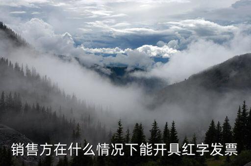 銷(xiāo)售方在什么情況下能開(kāi)具紅字發(fā)票