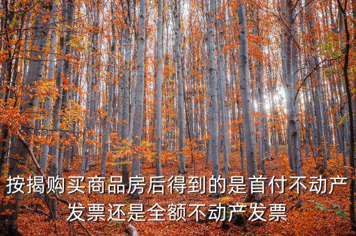 什么是全額不動(dòng)產(chǎn)發(fā)票，想問一下購房全額發(fā)票到底是什么的侯才開是在交房的時(shí)侯還是辦