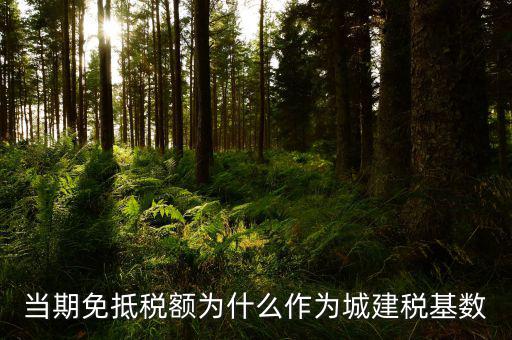 免抵稅額為什么要交城建稅，免抵稅額為什么要負擔(dān)城建稅和教育費附加