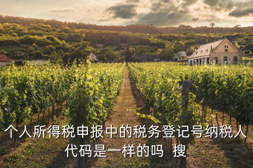 什么是個人稅務(wù)號，個人所得稅申報中的稅務(wù)登記號納稅人代碼是一樣的嗎  搜
