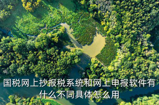 國稅申報(bào)軟件是什么意思，你用過網(wǎng)上申報(bào)軟件嗎是申報(bào)什么的我們公司有河北國稅納稅人端