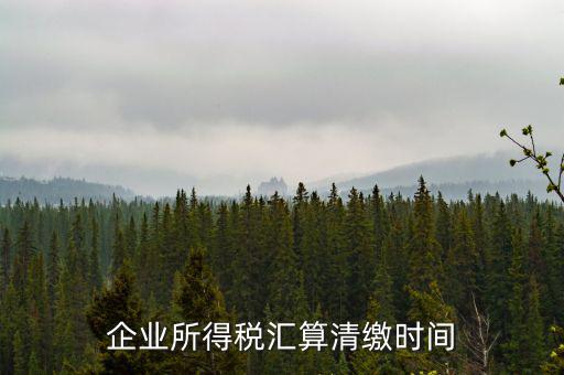 匯算清繳什么時候，個人所得稅匯算清繳的時間一定是次年的3月31日前