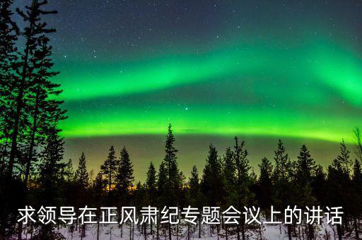 正風(fēng)肅紀(jì)講話什么意思，求領(lǐng)導(dǎo)在正風(fēng)肅紀(jì)專題會議上的講話
