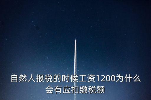 自然人報稅為什么，自然人辦稅服務(wù)平臺實名注冊的目的是什么